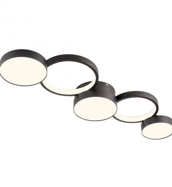 Altego RE001012541 plafonska lampa