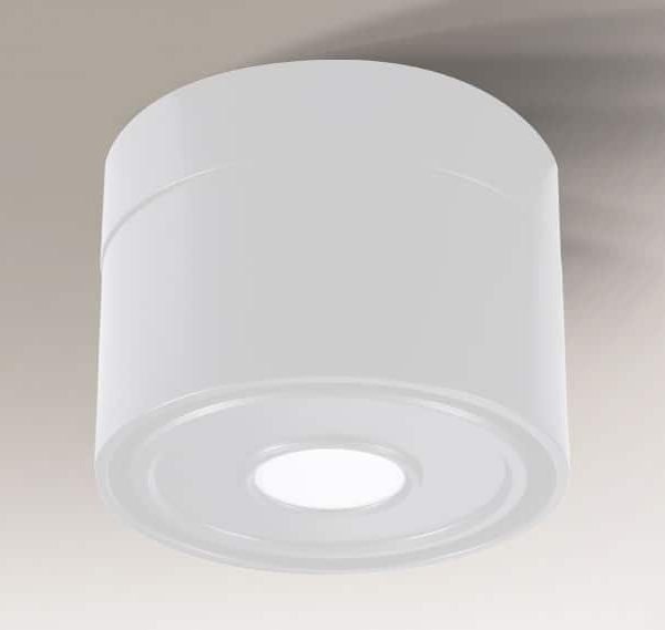 Shilo Himi plafonska lampa bela (105 mm)