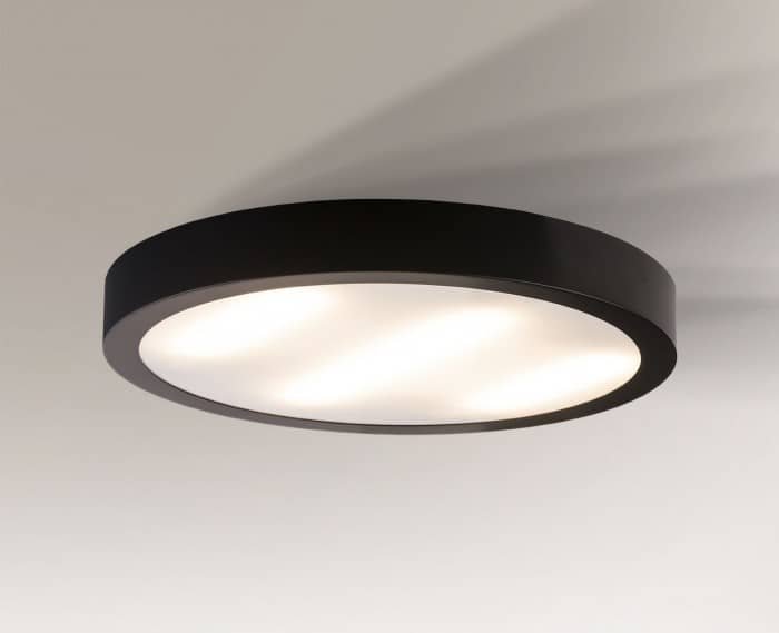 NOMI-1149.jpg
