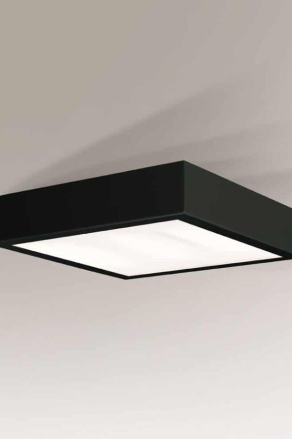 Shilo Nomi tehnička lampa crna 4000K
