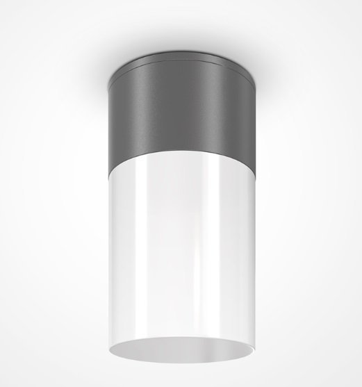 Maytoni Willis spoljašnja plafonska lampa grafitna 60W