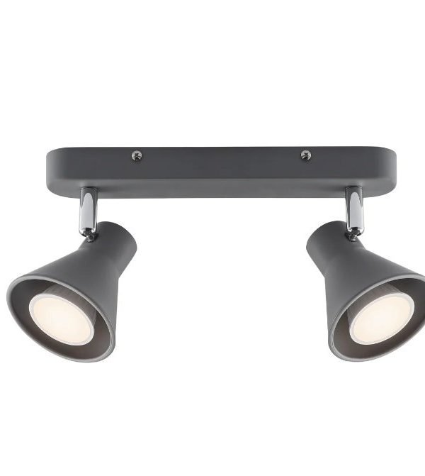 Nordlux Eik 2-Spot reflektor nadgradna rasveta siva